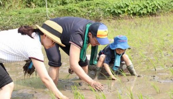 霍启刚官宣家中添新成员：看着孩子一天天长很快乐