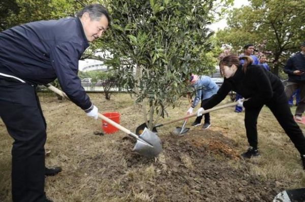 12位奥运冠军种“奥运冠军林” 祝福祖国繁荣传承体育精神