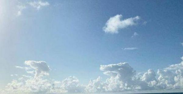 温网禁赛俄罗斯人，又祝福莎娃怀孕！网友攻占评论区：不配谈莎娃