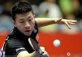 马龙张继科成男乒“劳模” 刘国梁五一最忙碌