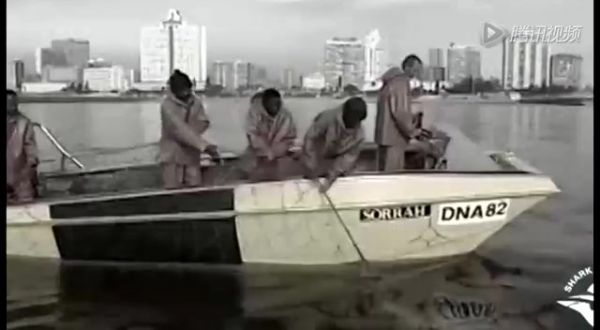 猛女深海鲨鱼群中游泳 血盆口旁自由运动