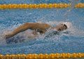 陈运鹏：游泳女子实力赶美 孙杨可保两届奥运
