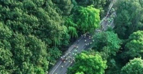 慢跑让人治愈一生！