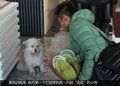 【深度】失去目标 林丹这三年怎么熬 