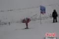 2014全国越野滑雪赛开战 队揽前三