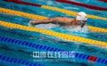 男泳对抗世界首人！吴鹏与菲鱼同时代演悲情