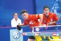 国乒挥别马王时代：王励勤升官 马琳再婚告别