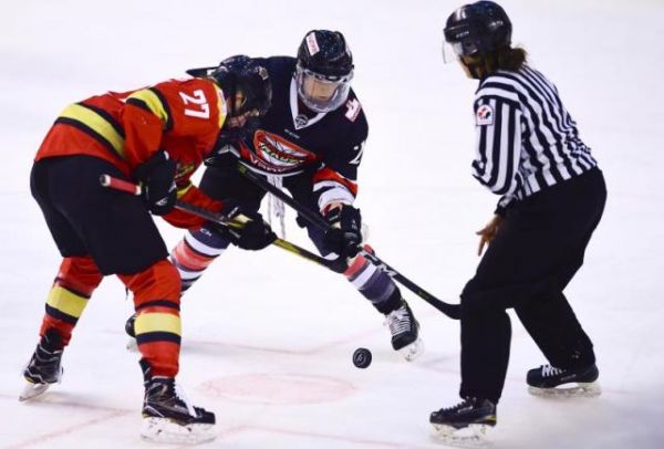 CWHL赛程过半  女冰表现抢眼未来可期