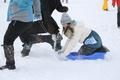 阿尔山养生冰雪节将启 踏雪板雪地竞速赛来助力